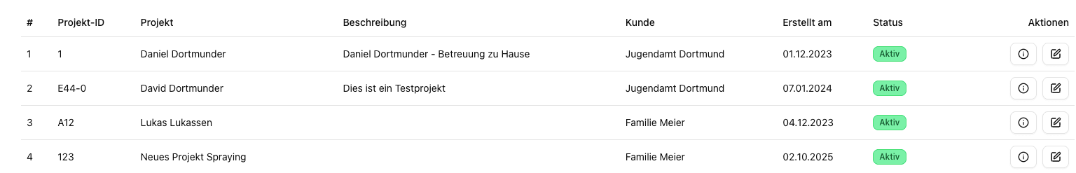 Screenshot: Projektliste mit Budget, Status und Kundenzuordnung